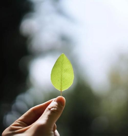 人物蜷缩于个人空间的角落，微弱的光源勾勒出身体的轮廓，浓厚的阴影象征着吞噬活力的沉重情绪。