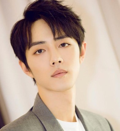 李宏毅历年参演影视作品数量及类型对比图表