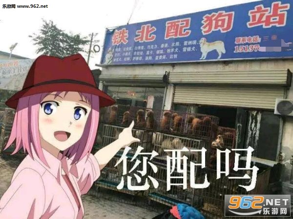 剧中爆seed与钉姐在街头对峙的经典剧照，两人表情紧张，背景是香港霓虹灯下的夜晚街道