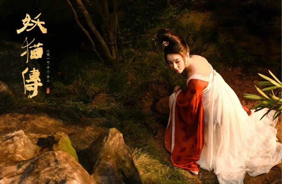 陈红担任制片人的《妖猫传》《志愿军》等作品海报合集或票房数据图表